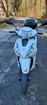 Honda Vision 110 TOP Zustand unfallfrei 1. Hand - HONDA VISION