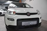 Fiat Panda City Life Hybrid Klima DAB UConnect PDC - Fiat Panda mit Hybrid-Antrieb