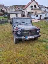 Mercedes-Benz Wolff der Luftlandetruppen  250 GD - Mercedes-Benz G 250: Gd