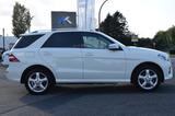 Mercedes-Benz ML 350 CDI BlueTEC AMG-LINE*GLASDACH*NAVI* - Mercedes-Benz ML 350: Cdi Bluetec