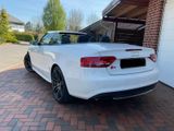 Audi S5 3.0 TFSI S tronic quattro Cabriolet - - Audi S5 aus 2010