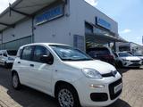 Fiat Panda Easy 1.2 KLIMA/1.Hand/Servo/Allwetterreif. - Fiat Panda Gebrauchtwagen in Mannheim