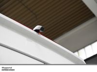 Volkswagen T6 California - Vorschau Bild 20