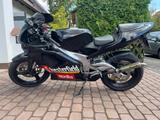 Aprilia RS 125 MP 2Takt Chesterfield - APRILIA RS 125 2T