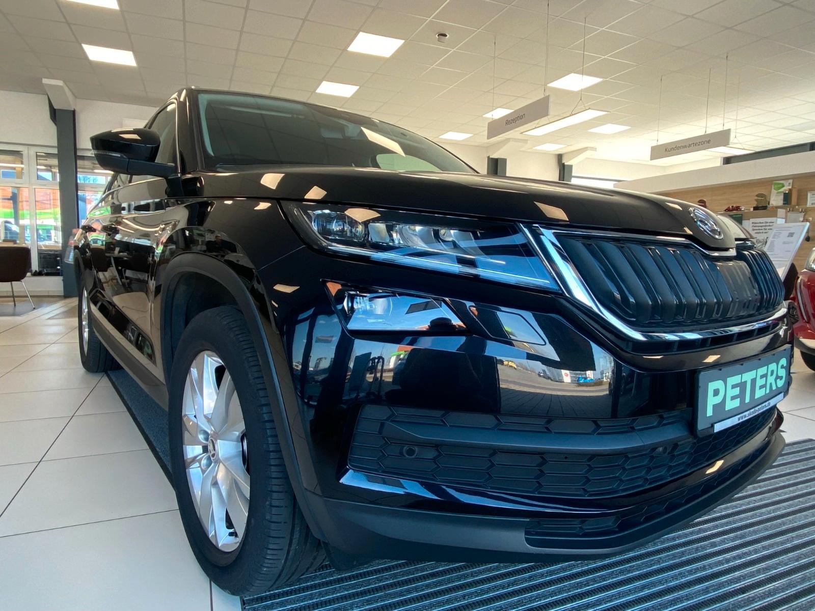 Skoda Kodiaq 2.0 TDI 4x4 Style Standhzg Lenkradhzg AHK
