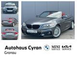 BMW 228i A M-SPORT 8-GANG LEDER XENON SHZ NAVI PDC - BMW Gebrauchtwagen von 2015