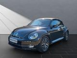 Volkswagen Beetle Cabriolet Allstar BMT - Volkswagen Beetle in Duisburg