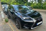Lexus NX 300h Launch Edition scheckheftgepflegt - Lexus: Sc