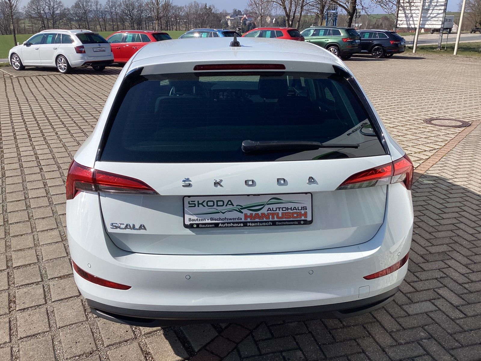 Fahrzeugabbildung SKODA Scala Clever 1.0 TSI 81 KW