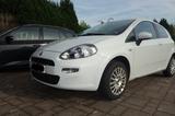 Fiat Punto 1.2 8V MY PUNTO MY PUNTO - Fiat Punto von privat