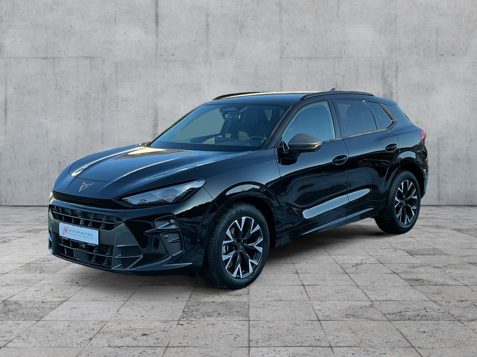 Cupra Terramar - Bild 2