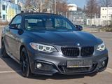 BMW 220 d CABRIO M SPORT PAKET *SHADOW LINE*GARANTIE - BMW 220 in Gelsenkirchen