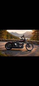 Harley-Davidson Softail Custom FXSTC - HARLEY-DAVIDSON SOFTAIL CUSTOM