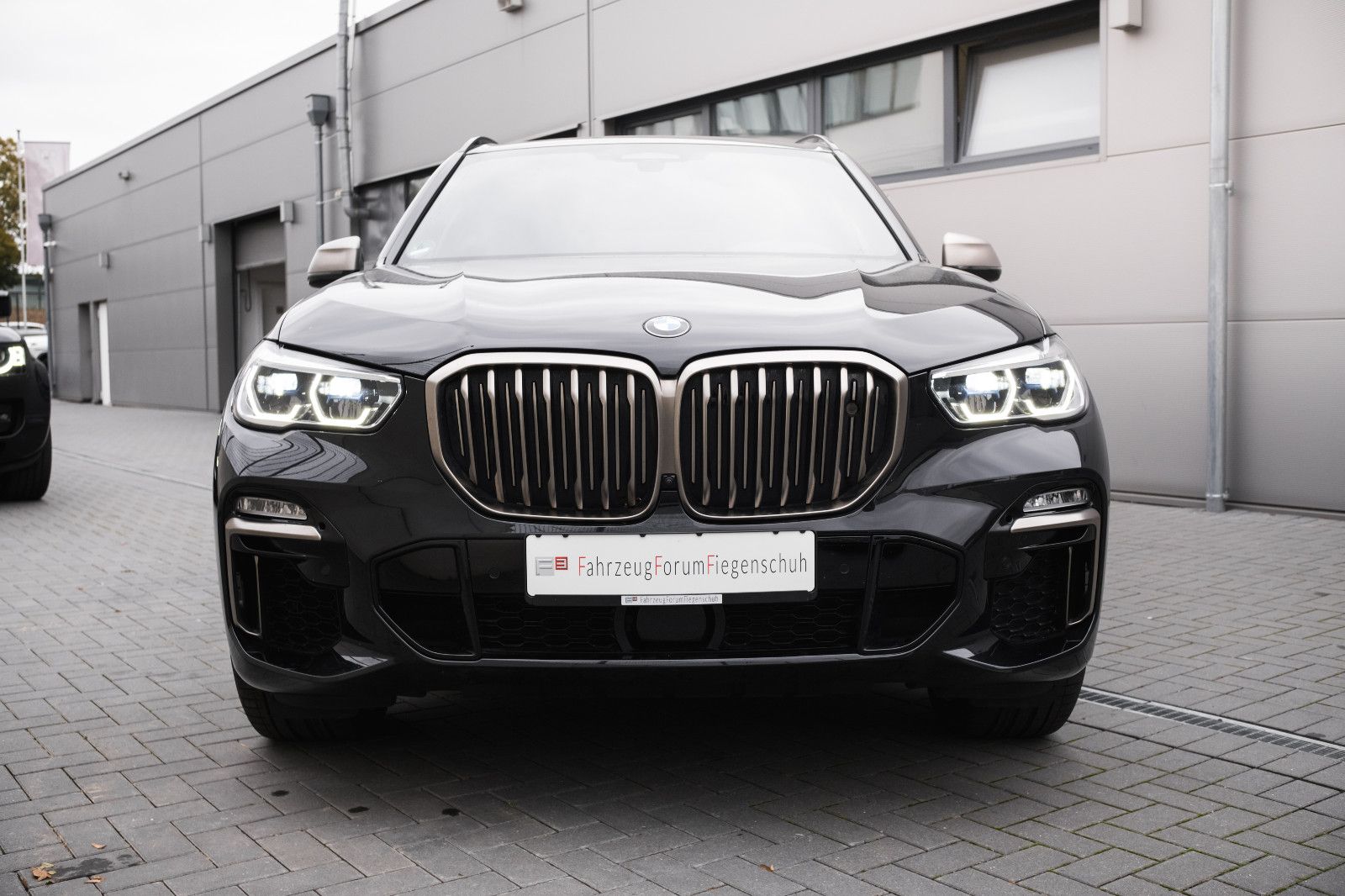Fahrzeugabbildung BMW X5 M50i-Laser-Komfort-Sitze.Sitzbelüftung