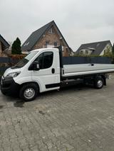 Peugeot Boxer - Peugeot Boxer aus 2023