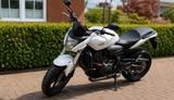 Honda CB600F PC41 Hornet - HONDA HORNET 600 PC41