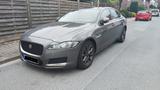 Jaguar XF E-Performace 163PS Portfolio Automatik Po... - Jaguar XF: Portfolio