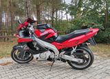 Yamaha Thundercat (YZF 600 R) - YAMAHA THUNDERCAT