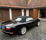 Jaguar XK8 Cabriolet - Neuer Steuerkettensatz - Jaguar XK8 mit 3 Türen