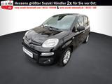 Fiat Panda 1.2 More - Fiat Panda: Schwarz