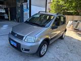 Fiat Panda 1.2 4x4 Climbing - Fiat Panda Climbing mit Benzin-Antrieb