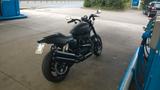Harley-Davidson XR1200X - HARLEY-DAVIDSON XR