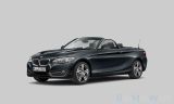 BMW 220 d Cabrio Sport Line *Navi-Prof*inkl Garantie - BMW 220