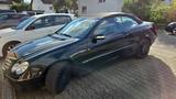 Mercedes-Benz MERCEDES-BENZ CLK 280 3.0 Cabrio Avantgarde - gebrauchte Mercedes-Benz CLK 280 aus dem Jahr 2008