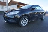 Ford Focus Cabrio Trend - Ford Focus mit Benzin-Antrieb: Cabrio