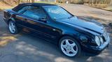 Mercedes-Benz Mercedes CLK 320 Cabrio - Mercedes-Benz CLK 320 aus 1999: Cabrio