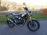 Triumph Scrambler 400 X, grün, TOP! - TRIUMPH SCRAMBLER 400 X