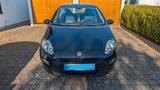 Fiat Punto 1.2 8V LOUNGE LOUNGE - Fiat Punto: Lounge