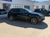 Porsche Cayenne Diesel Platinum Edition - gebrauchte Porsche Cayenne aus dem Jahr 2014