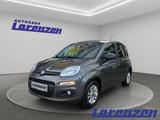 Fiat Panda More Easy 1.2 8V 51kW Musikstreaming PDC A - Fiat Panda: More