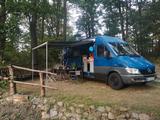 Mercedes-Benz Sprinter 213CDI Campervan Selbstausbau Wohnmobil - Offers matching your search criteria