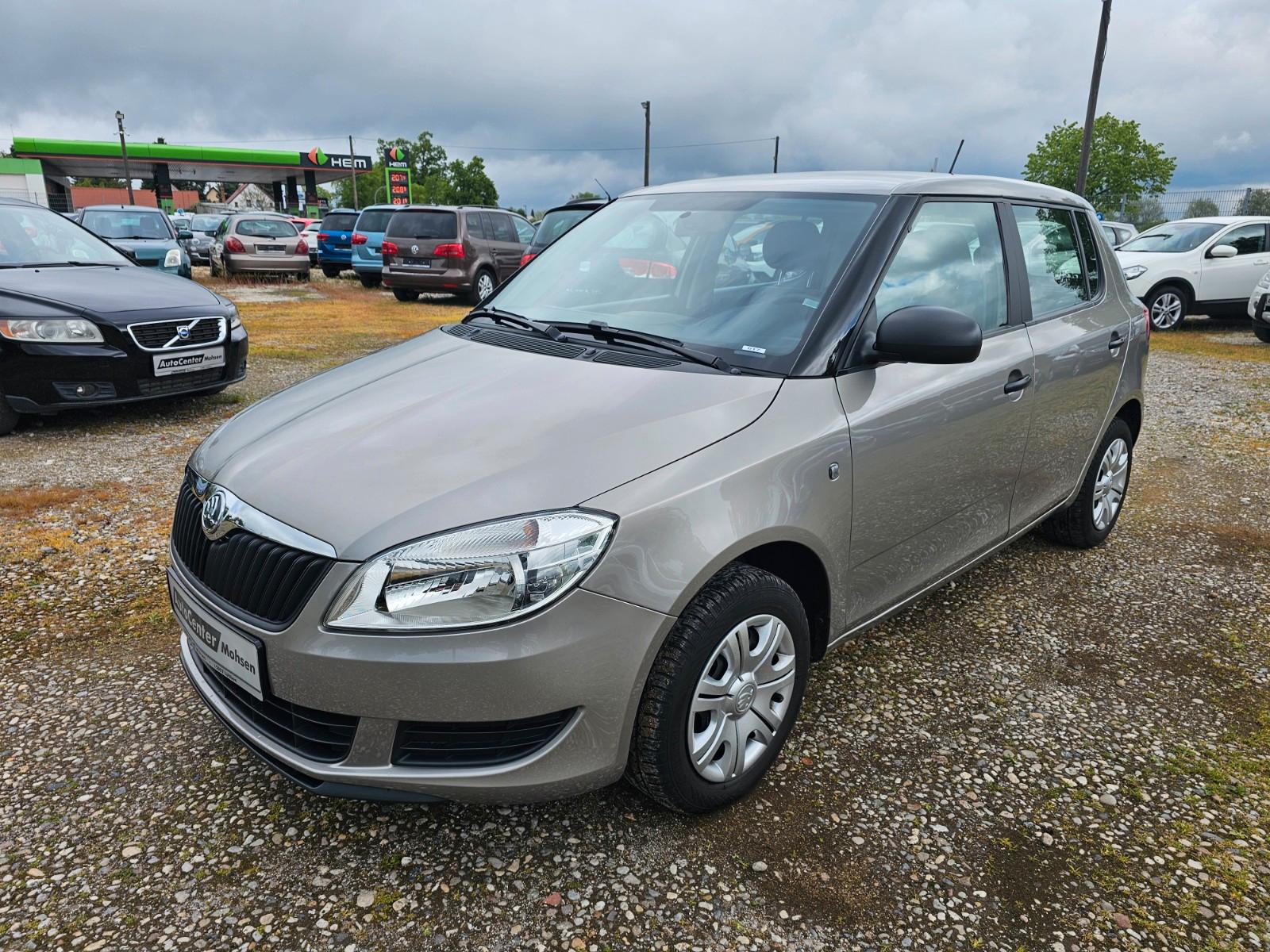Skoda Fabia Cool Edition (Nr.017)