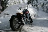 Thunderbike Thunder Mountain (USA) Sterling Springer Custom  - THUNDERBIKE MOTORRAD
