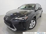 Lexus UX 250h Hybrid Aut. LED-Xenon Navi Alcantara Ke - Lexus UX aus 2021