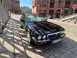 Jaguar XJ8 3.2 Executive  - Jaguar XJ8: 3.2