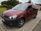 Volkswagen Caddy 1,2TSI 77kW Roncalli  Rollstuhltransport!! - Volkswagen Caddy: Kleinbus