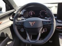Cupra Terramar - Vorschau Bild 11