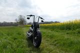 Harley-Davidson Breakout Custom, Jekyll&Hyde, Stage2 - gebrauchte Motorräder in Kiel