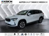 Skoda Kodiaq 1.5 TSI DSG SELECTION 7S LED SH NAVI KAM - Skoda Kodiaq Tageszulassungen