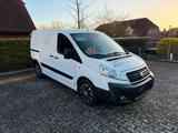 Fiat Scudo Transporter - Fiat: Transporter