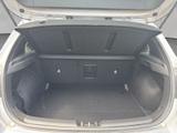 Hyundai i30 1.5 T-GDI 48V-Hybrid DCT Prime - Hyundai i30 mit Panoramadach