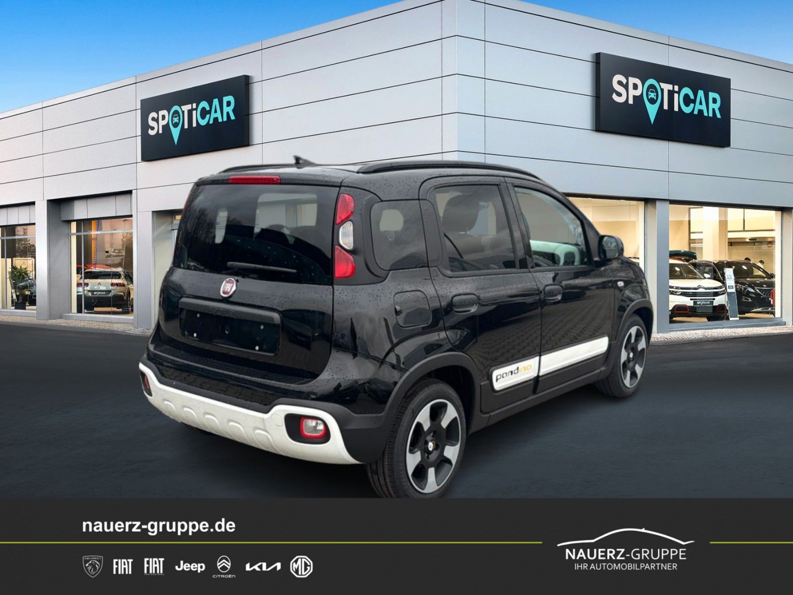 Fahrzeugabbildung Fiat Panda Pandina Cross