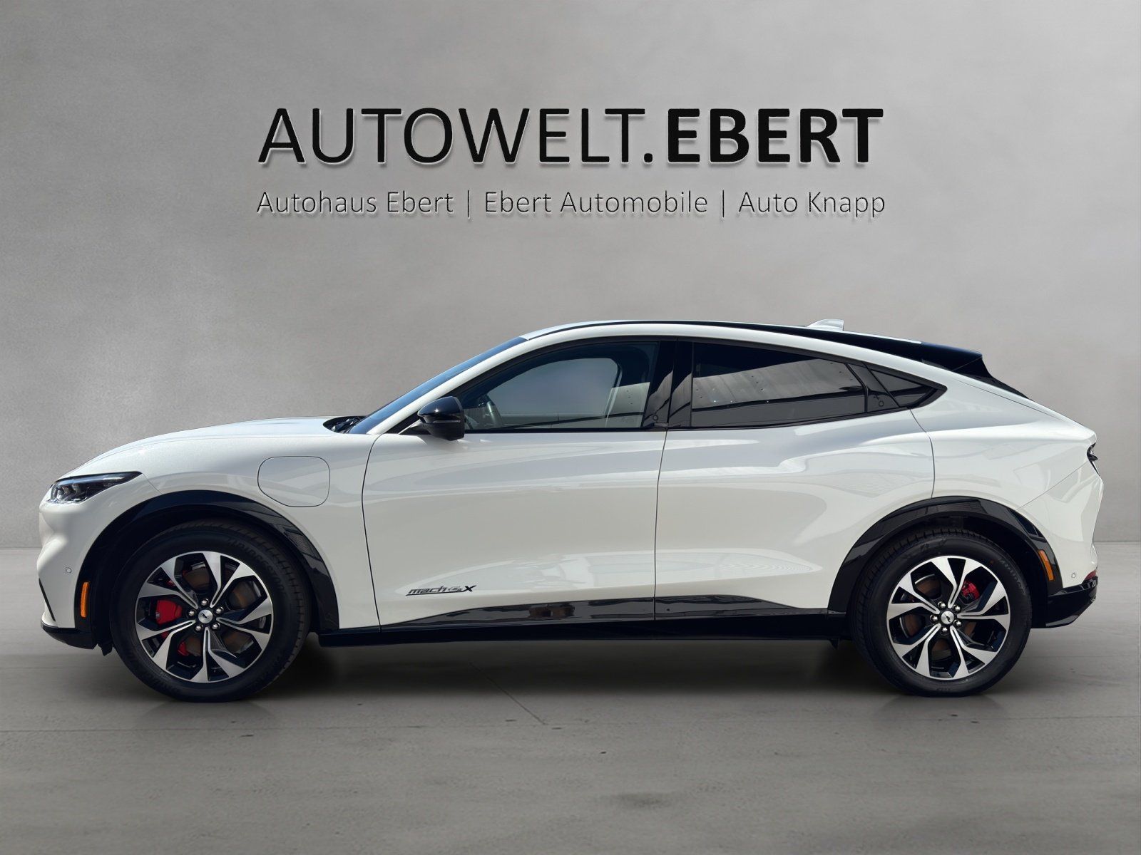 Fahrzeugabbildung Ford Mustang MACH-E AWD Ext. Range Aut./ACC/360°/B&O/