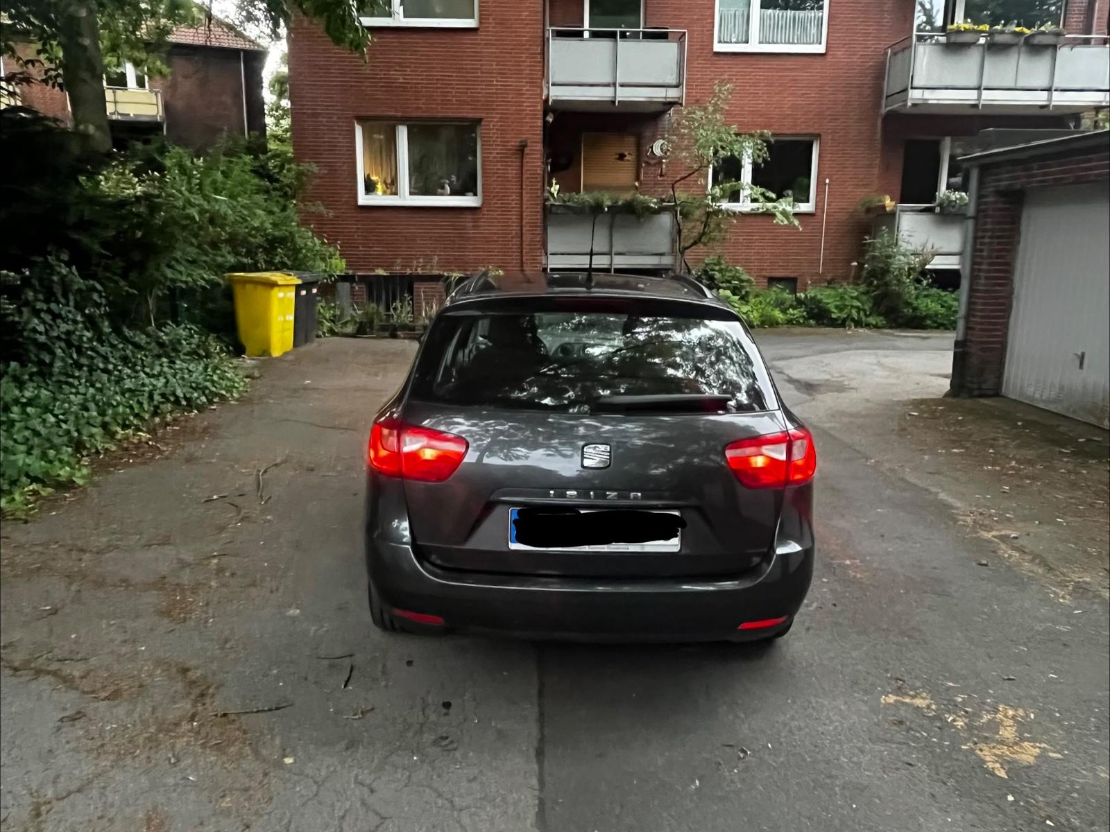 Seat Ibiza 2011 — салон