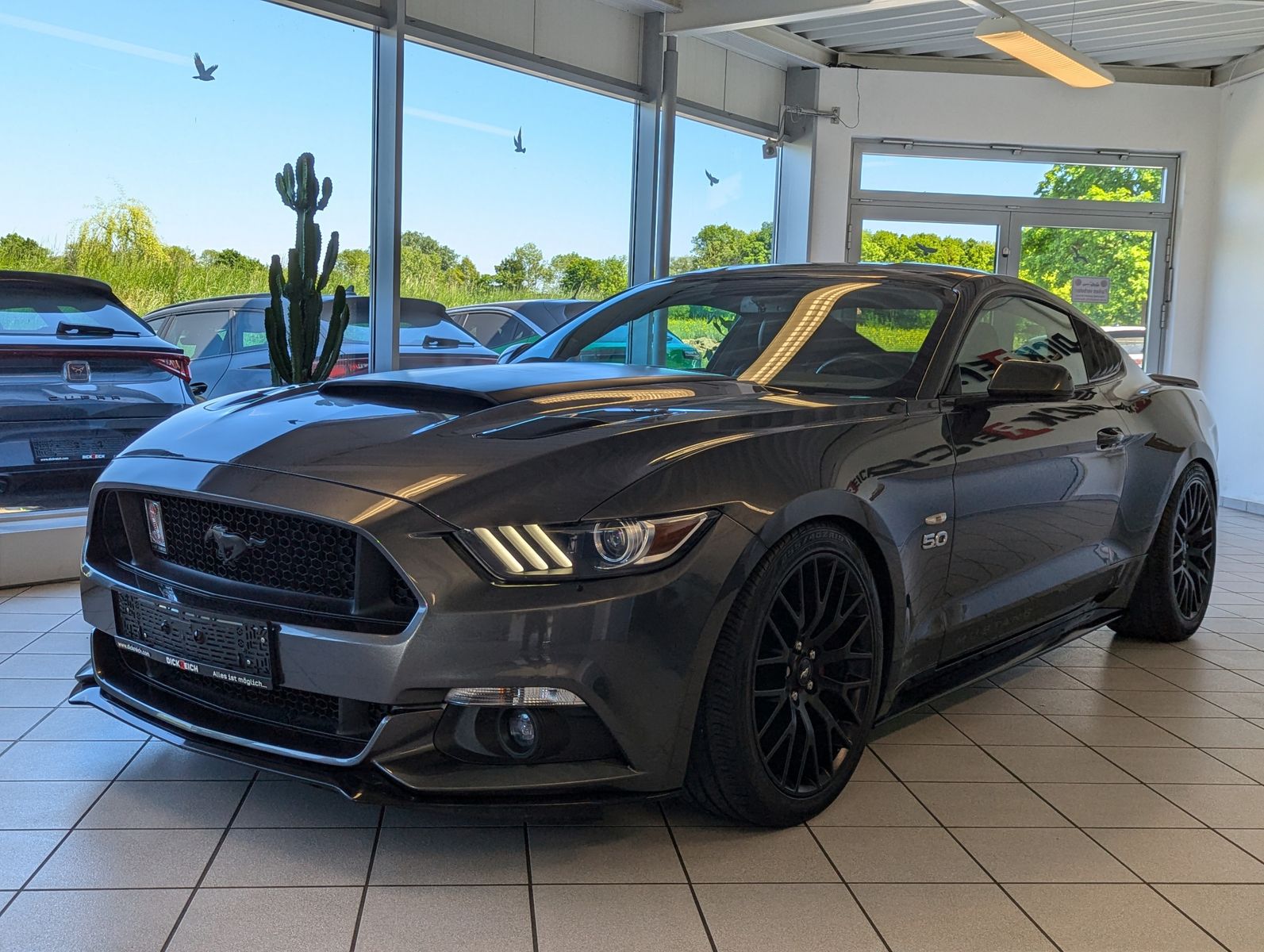 FORD Mustang GT 5.0 Aut. V8 Gas SHZ Kamera LED LM19" - Image 3