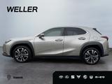 Lexus UX 250h Style Edition *Bi-LED*ACC*CAM*SHZ*CarPla - Lexus UX: Style Edition